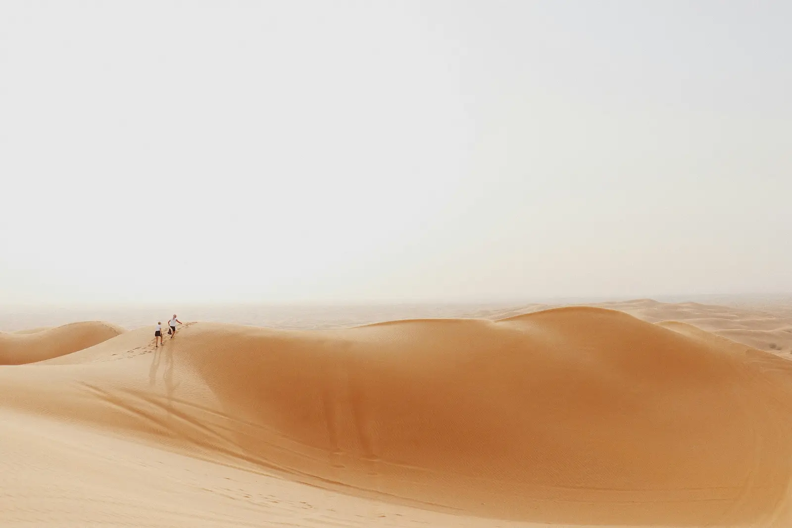 Dubai Desert